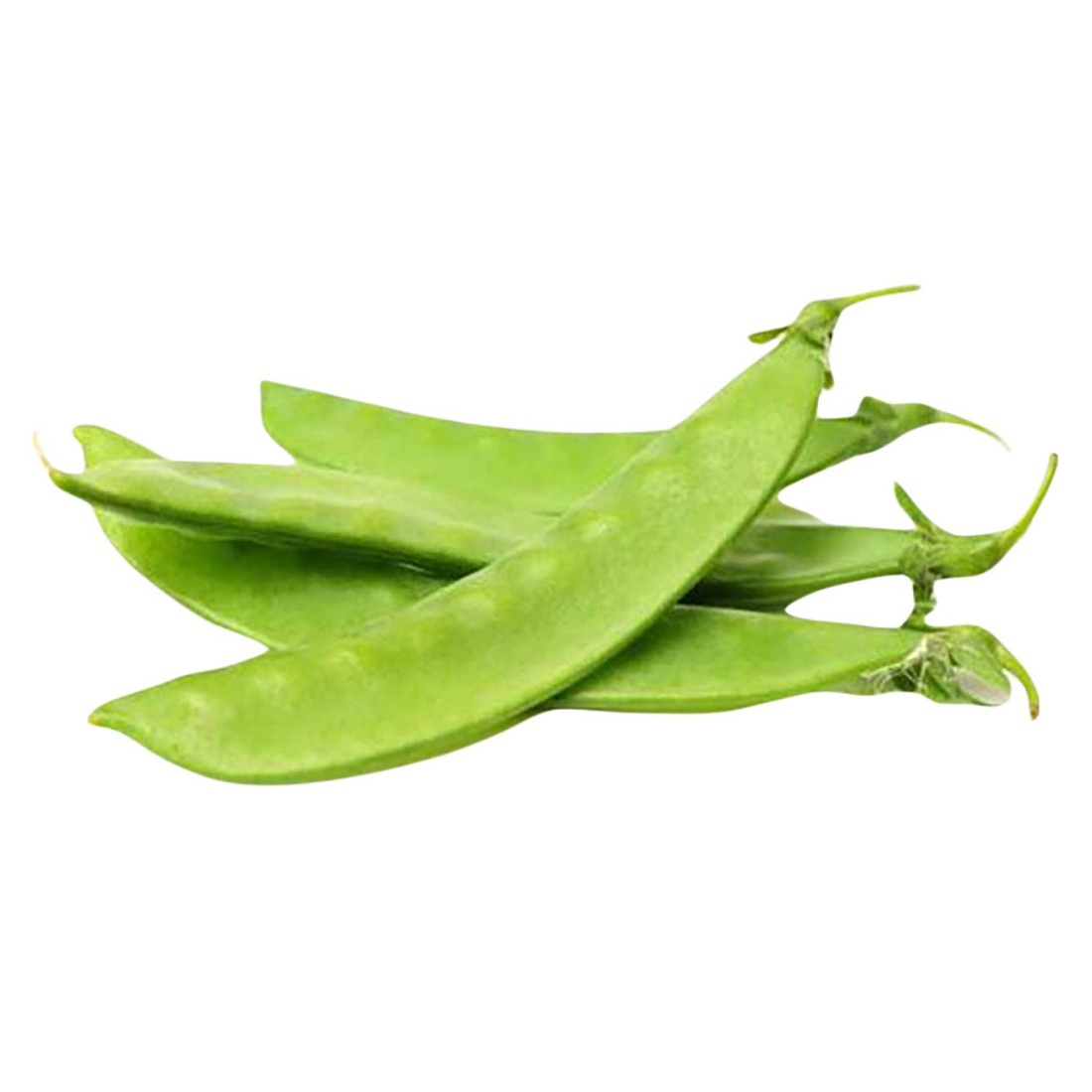 Papidi
