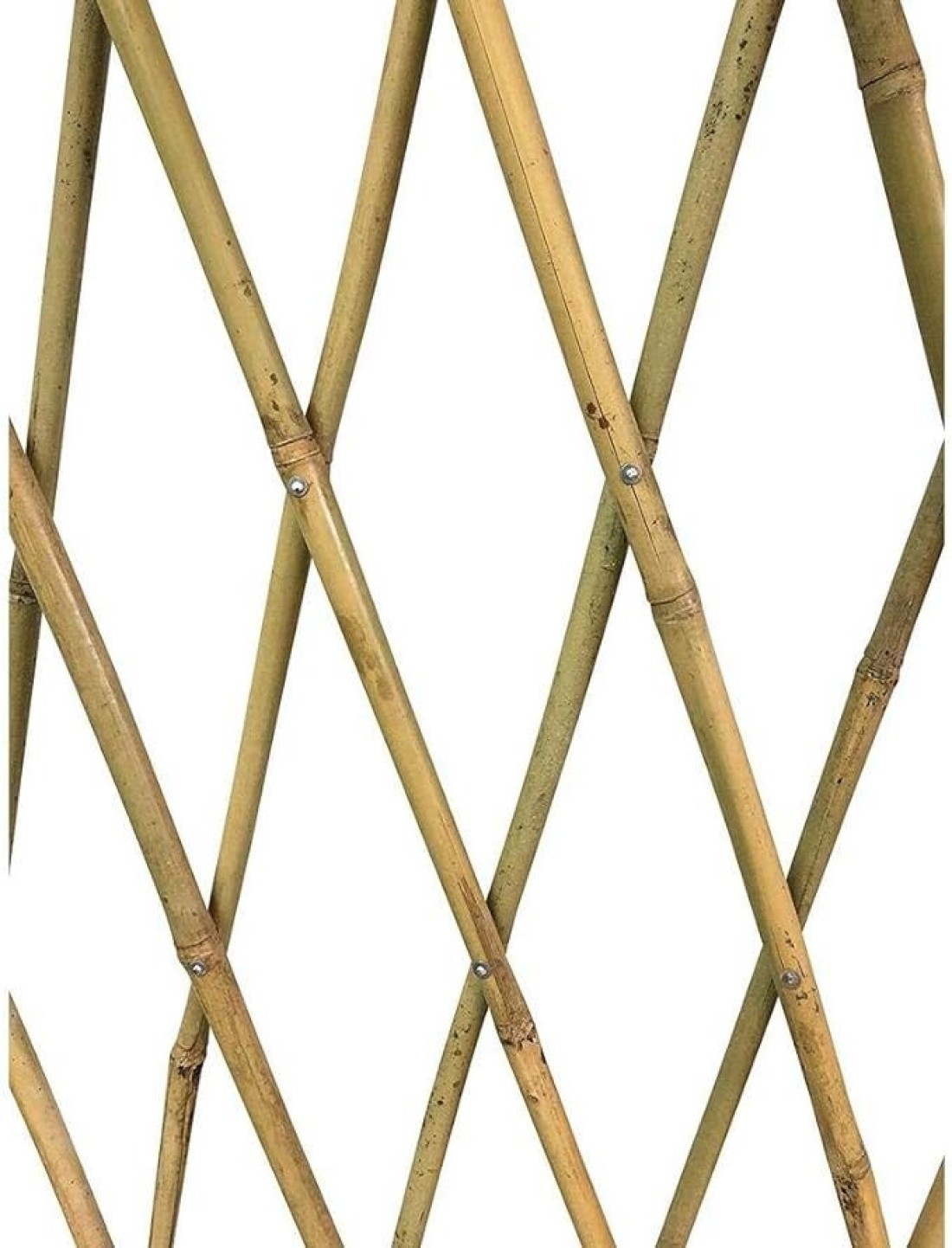 Egardenkart® Trellis Bamboo Plant Climbers (1, 90cm)