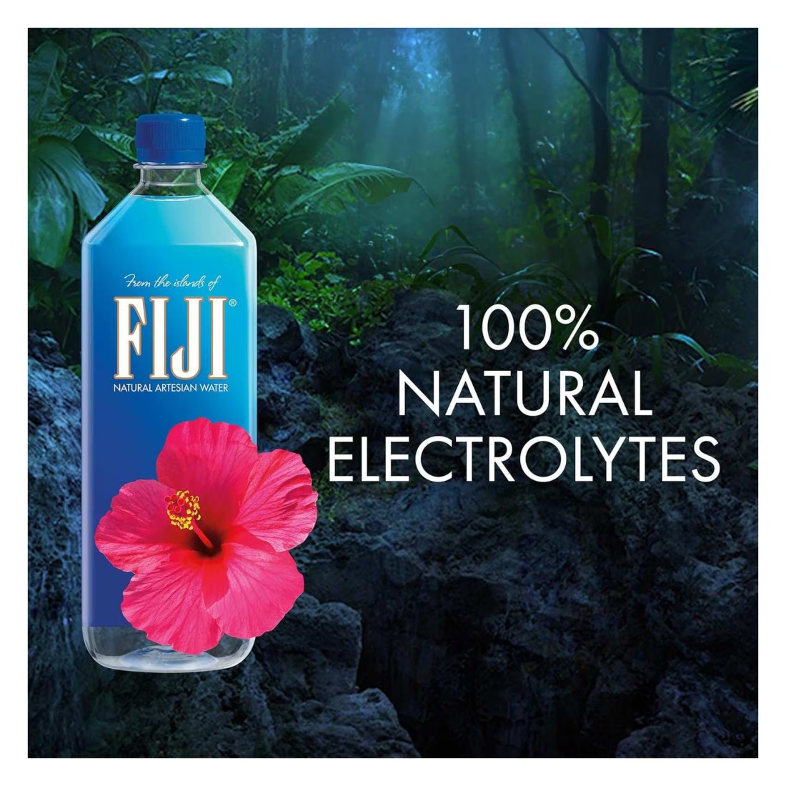 Fiji Natural Artesian Water 1L Pack of 6