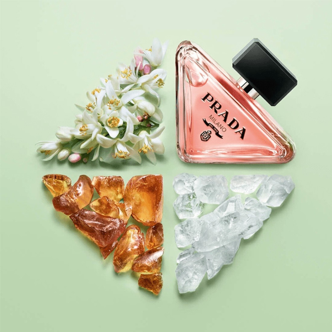 برادا عطر بارادوكس للنساء - او دو برفيوم