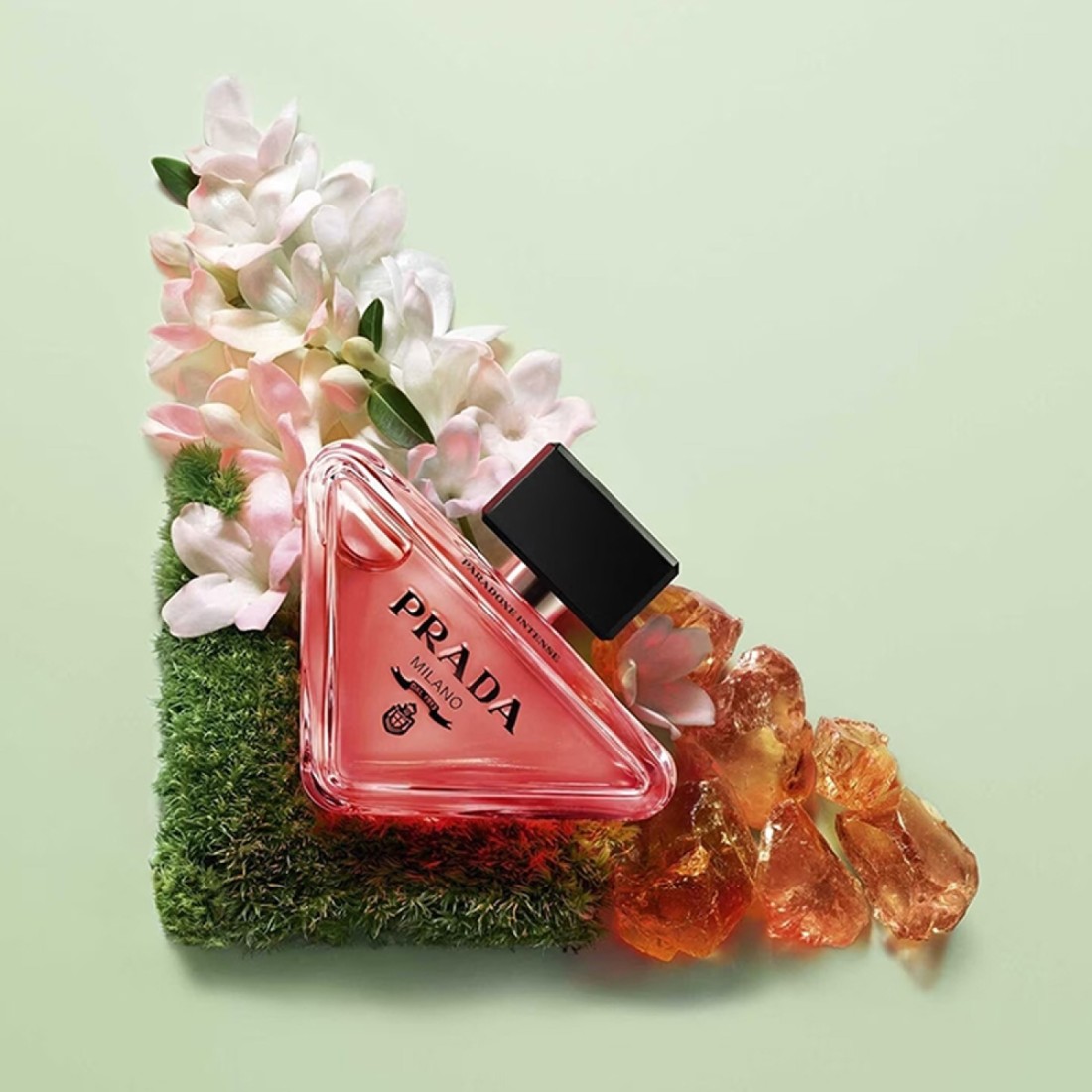 Prada Paradoxe Intense - Eau de Parfum