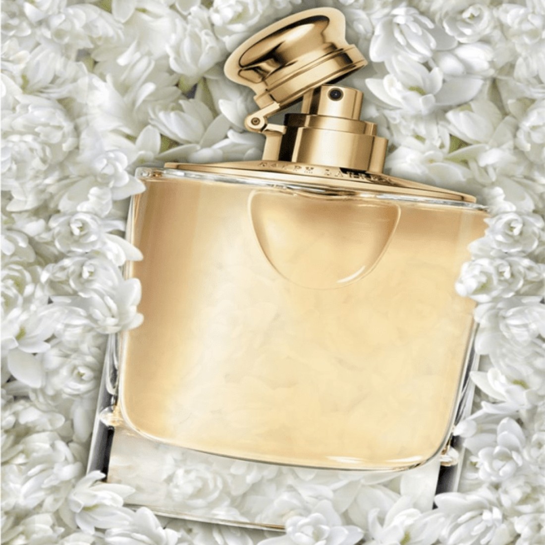 Ralph Lauren Woman For Women - Eau De Perfum