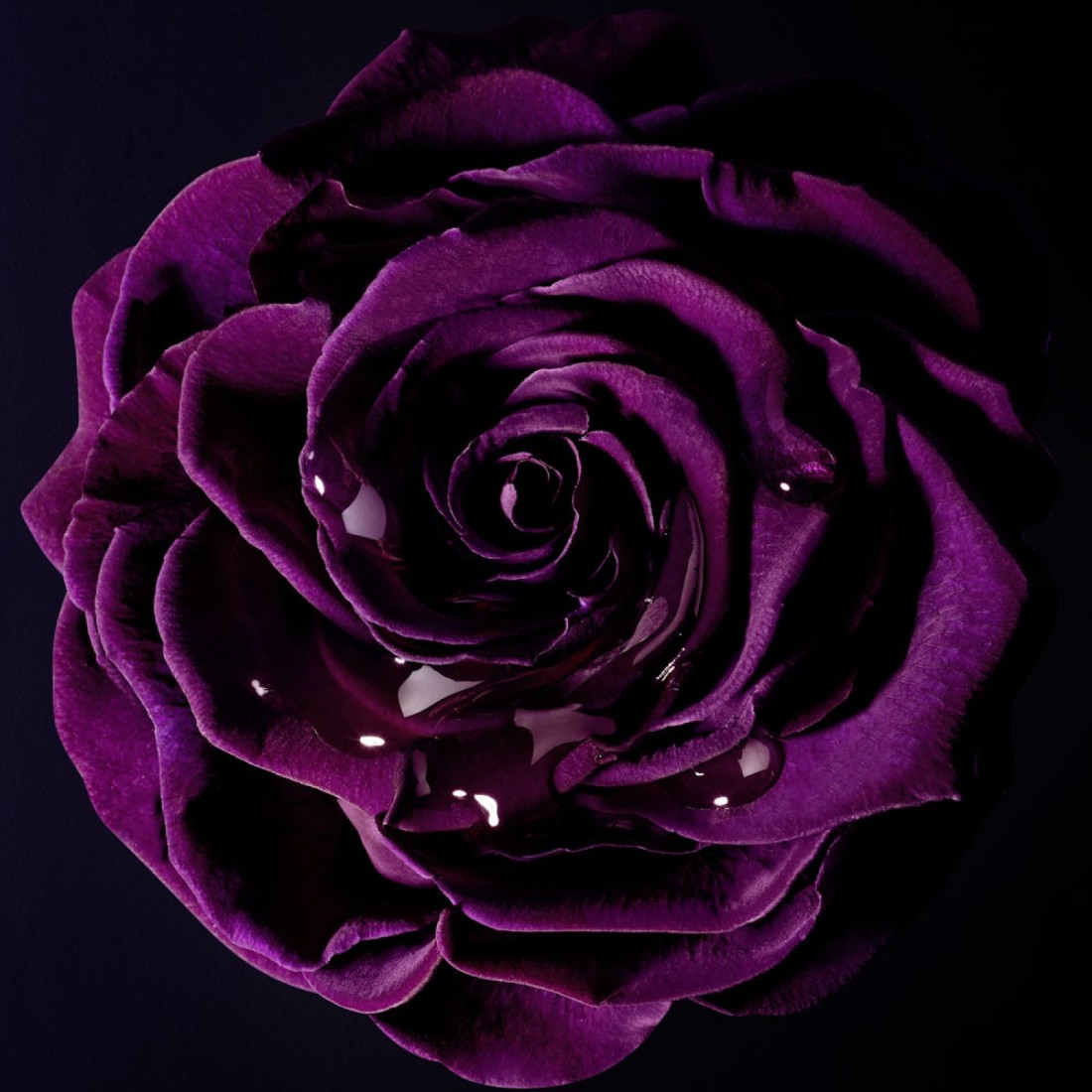 Lancome La Nuit Tresor For Women - Eau de Parfum