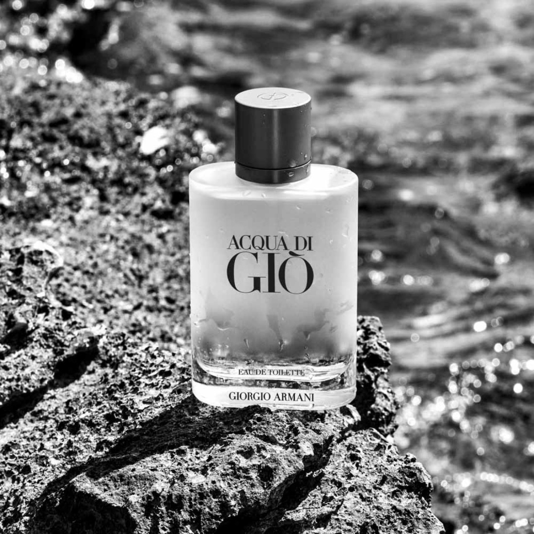 Giorgio Armani Acqua Di Gio For Men - 50ml - Eau de Toilette