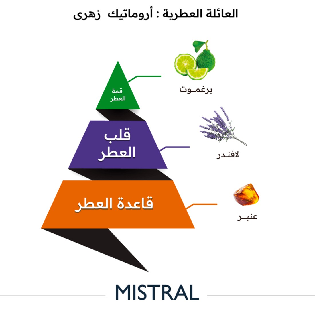 Almajed Oud Masterl - Eau de Toilette