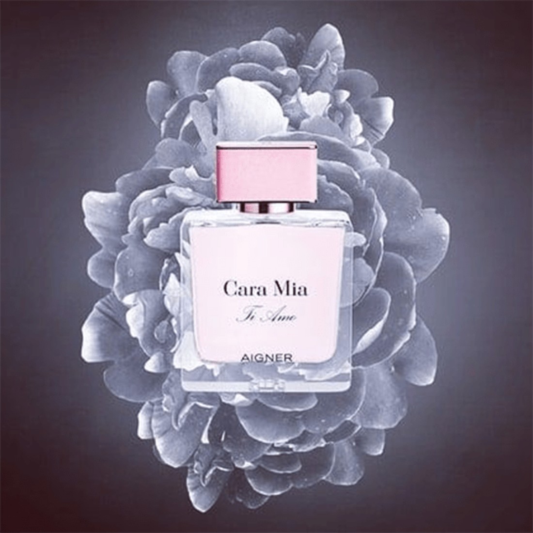 Aigner Cara Mia Ti Amo For Women - Eau De Perfum
