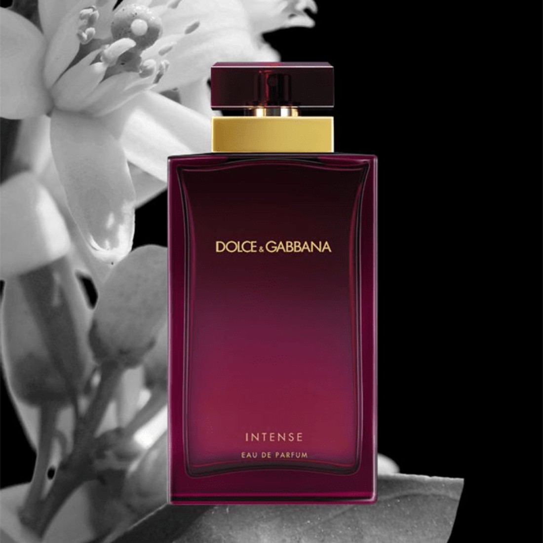 Dolce & Gabbana Intense For Women - Eau de Parfum