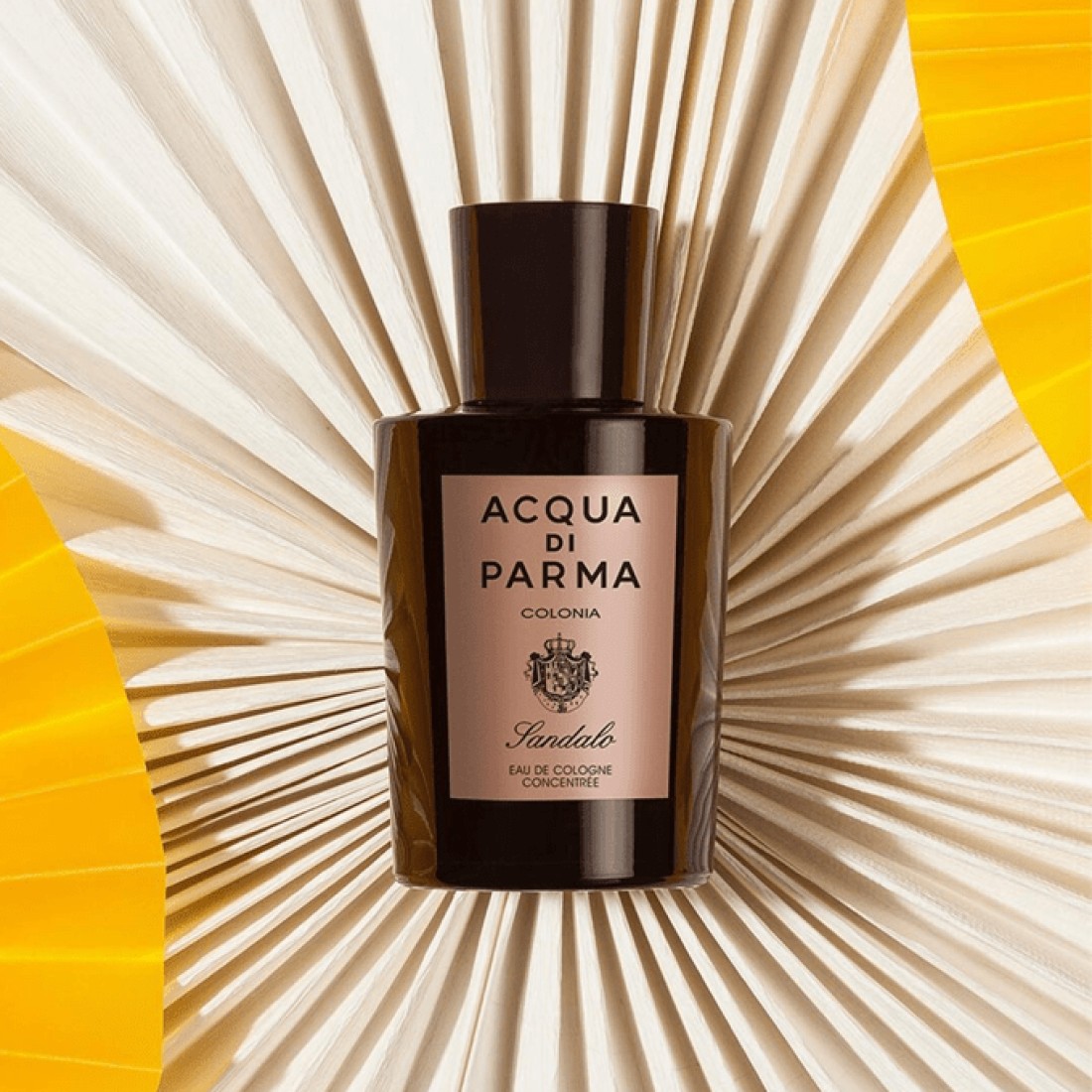 Acqua Di Parma Colonia Sandalo concentree For Men - Eau De Cologne