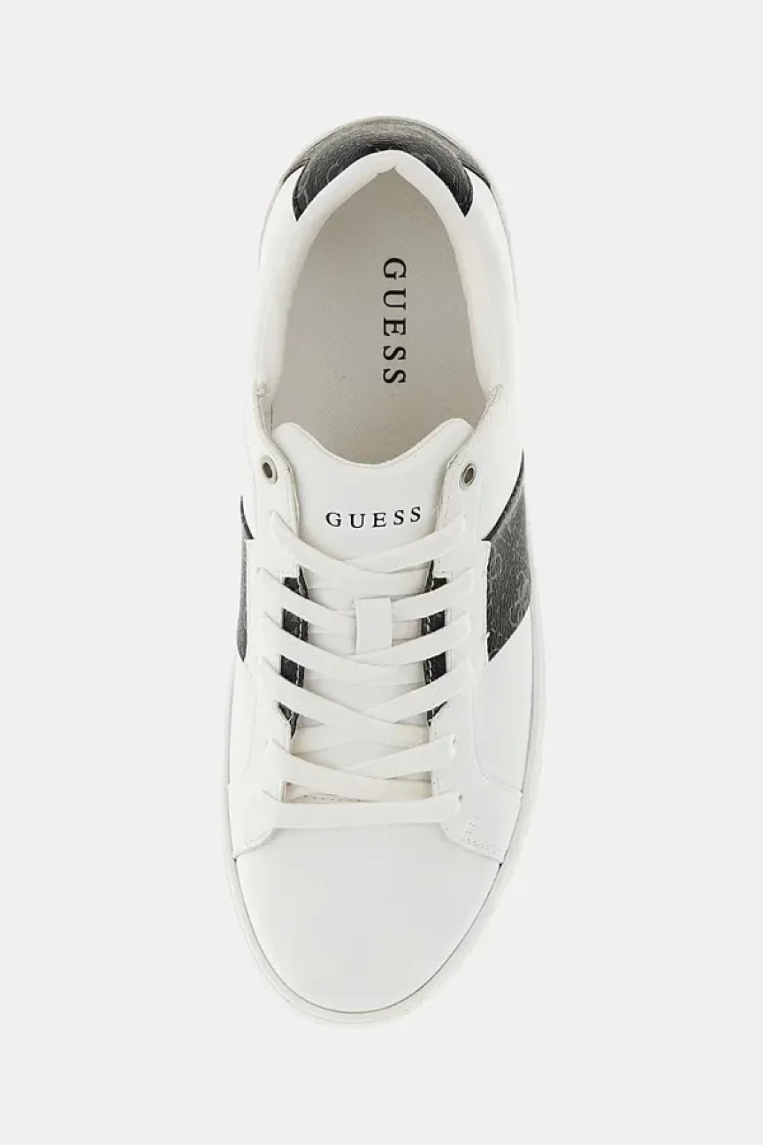 Guess Todı