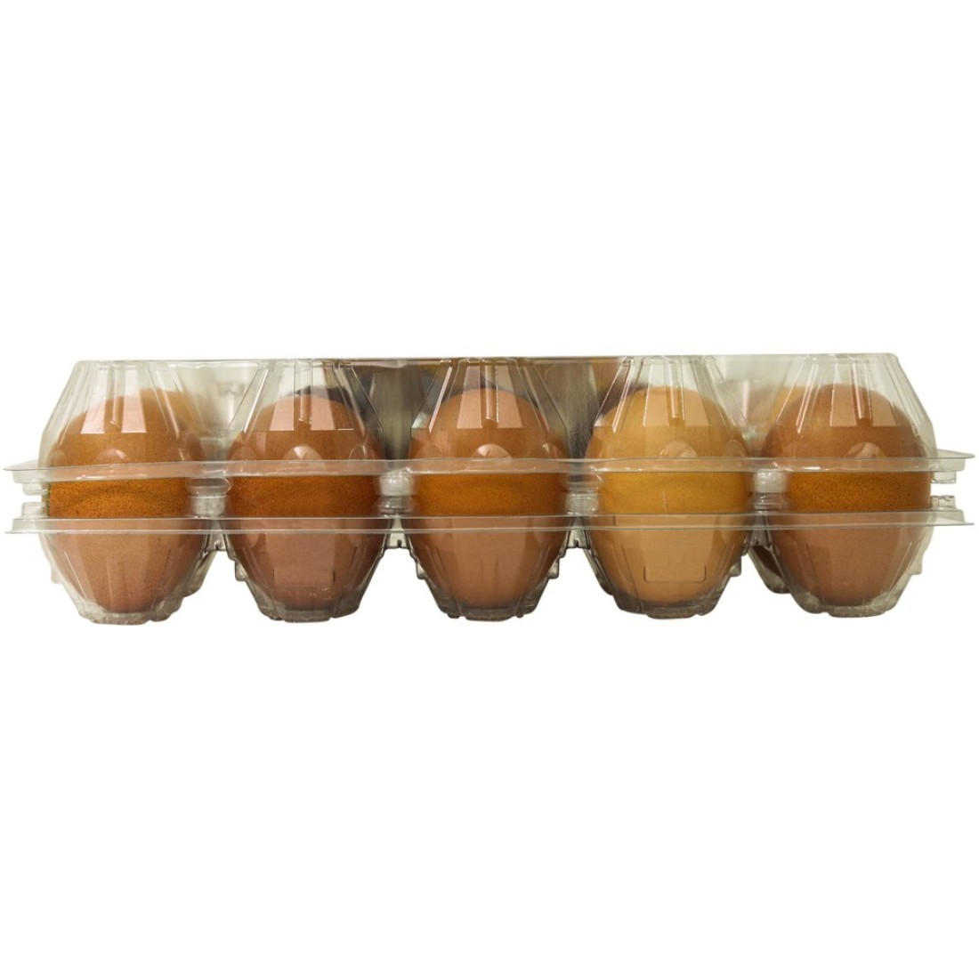 Al Jazira Golden Eggs Medium Either White or Brown 15 PCS