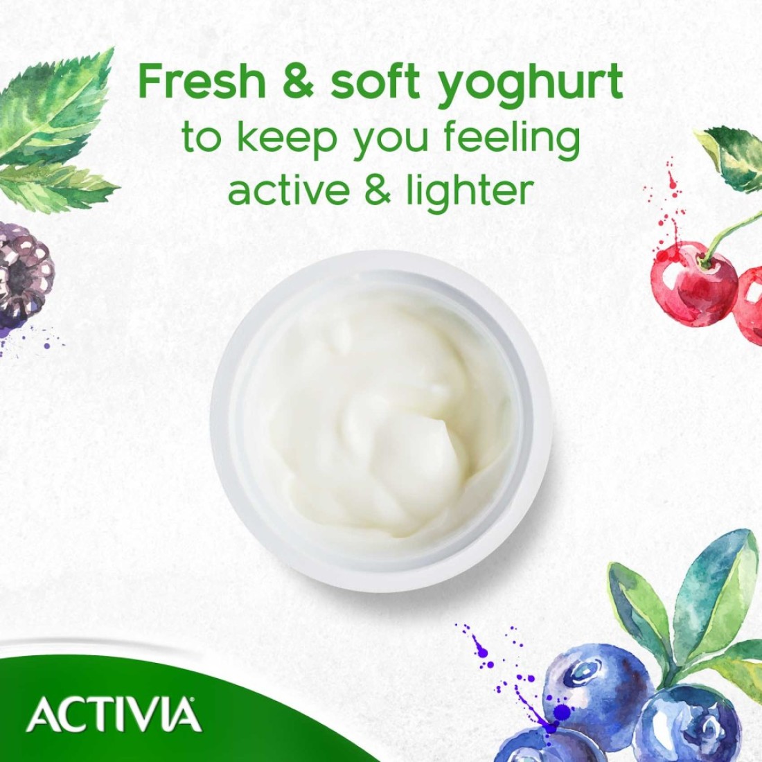 Activia Low Fat Plain Yoghurt 150g Pack of 6