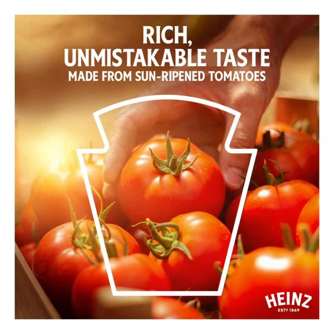 Heinz Tomato Ketchup Bottle 342g