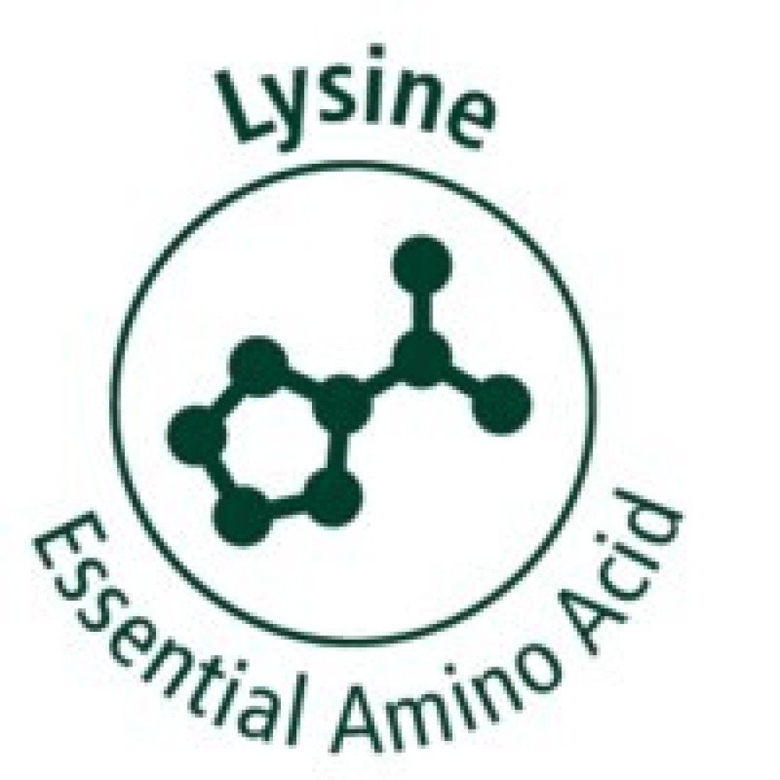 Mervue Lysine 100 Immune Support Supplement for Cats Immune Booster &amp; Respiratory Health Aid Echinacea-Enriched Paste 30ml