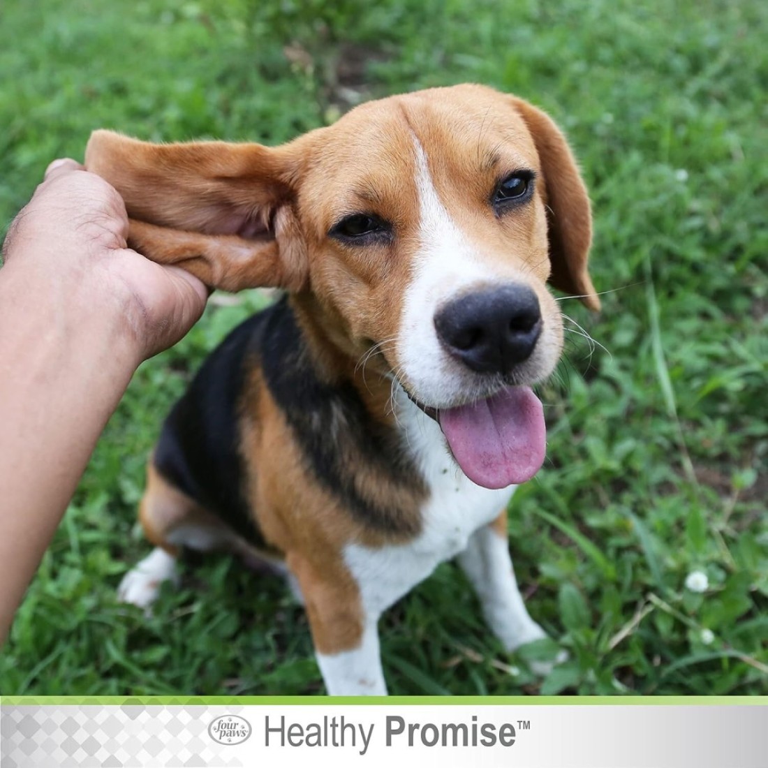 Four Paws Dog Ear Wash – Gentle Ear Cleaning & Itch Relief for Dogs 118Ml