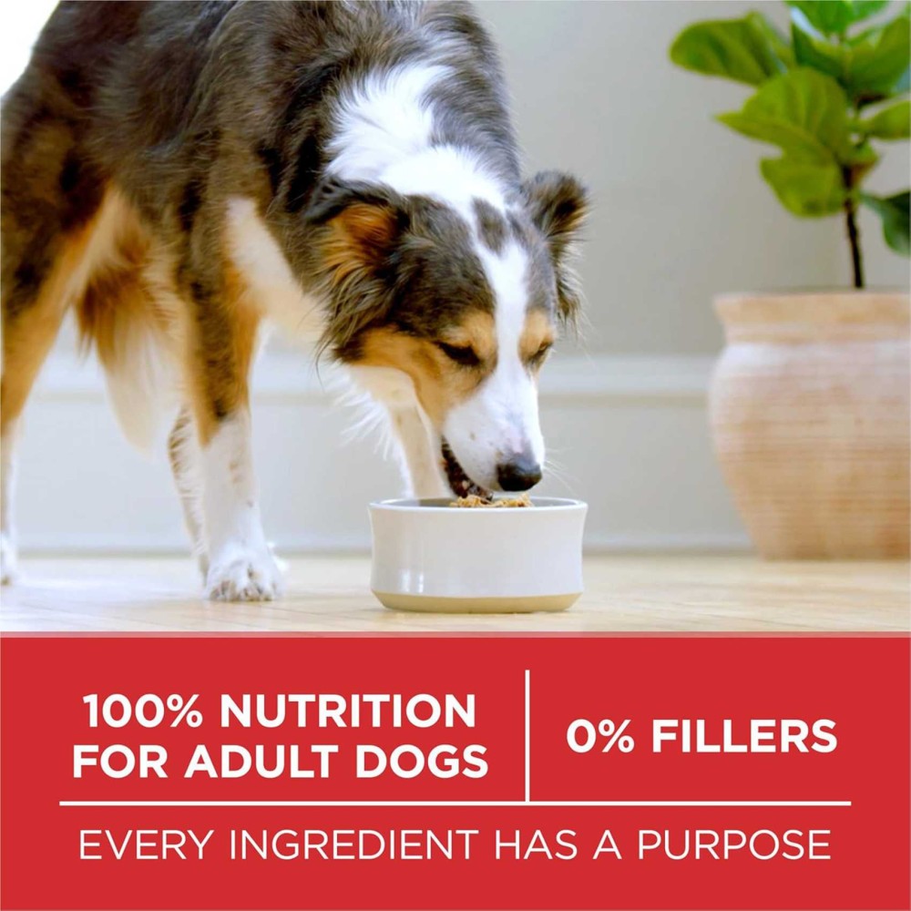 Purina ONE Chicken &amp; Rice Formula, Dog Food, 3.63kg