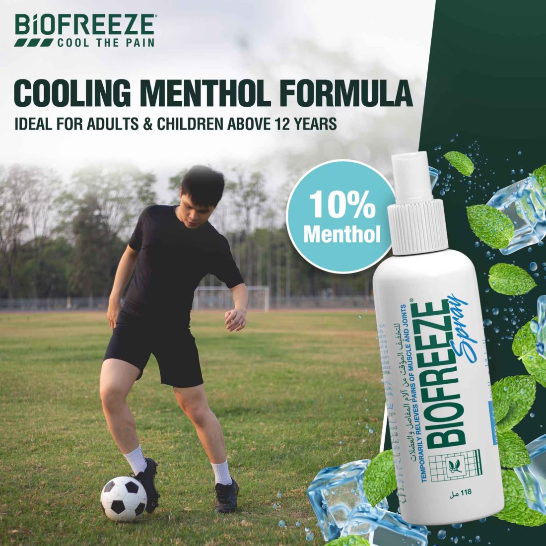 Biofreeze Muscle and Joints Pain Relief Spray 118ml