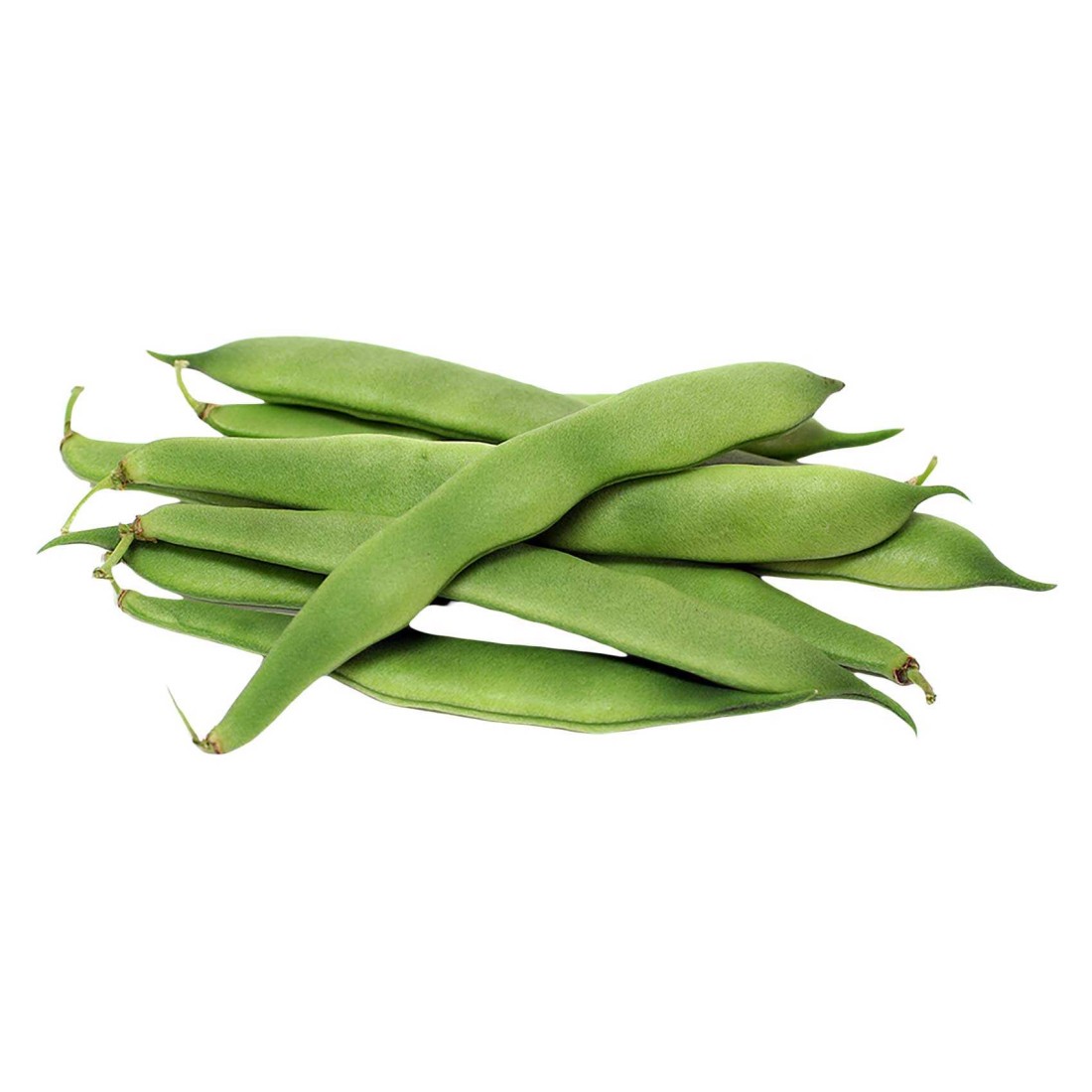 Papidi