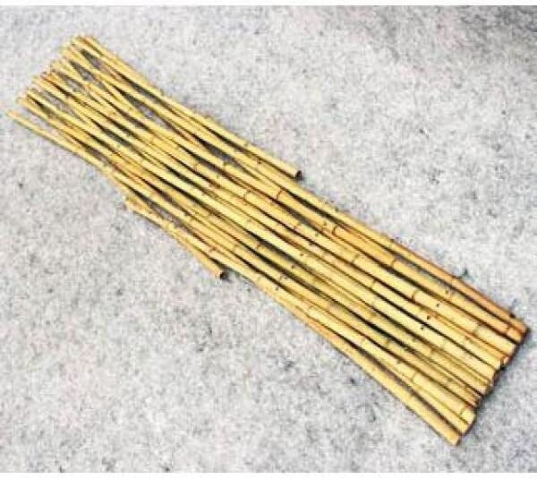 Egardenkart® Trellis Bamboo Plant Climbers (1, 90cm)