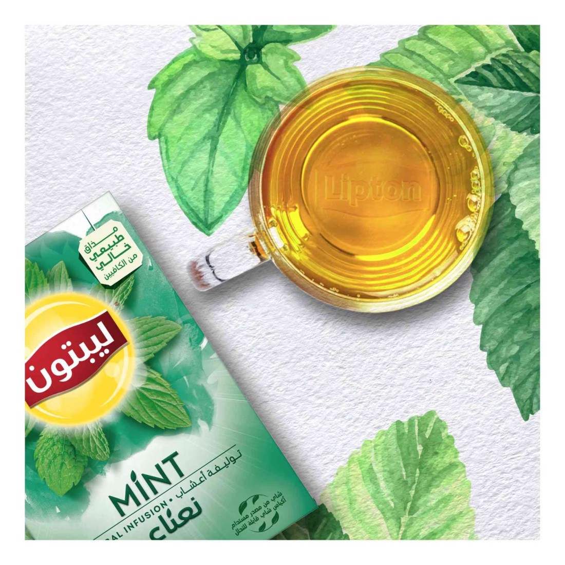 Lipton Herbal Infusion Mint 20 Tea Bags