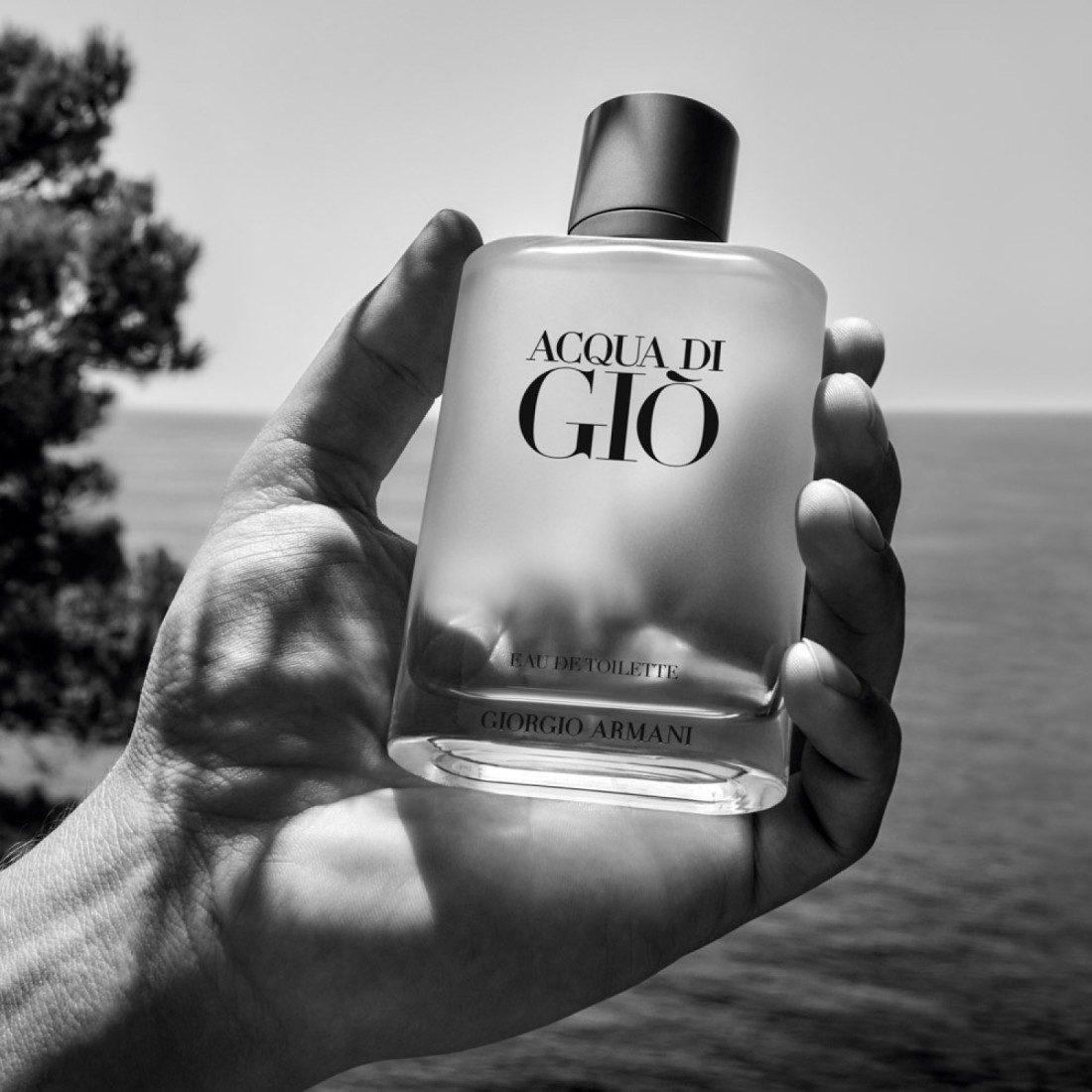 Giorgio Armani Acqua Di Gio For Men - 50ml - Eau de Toilette