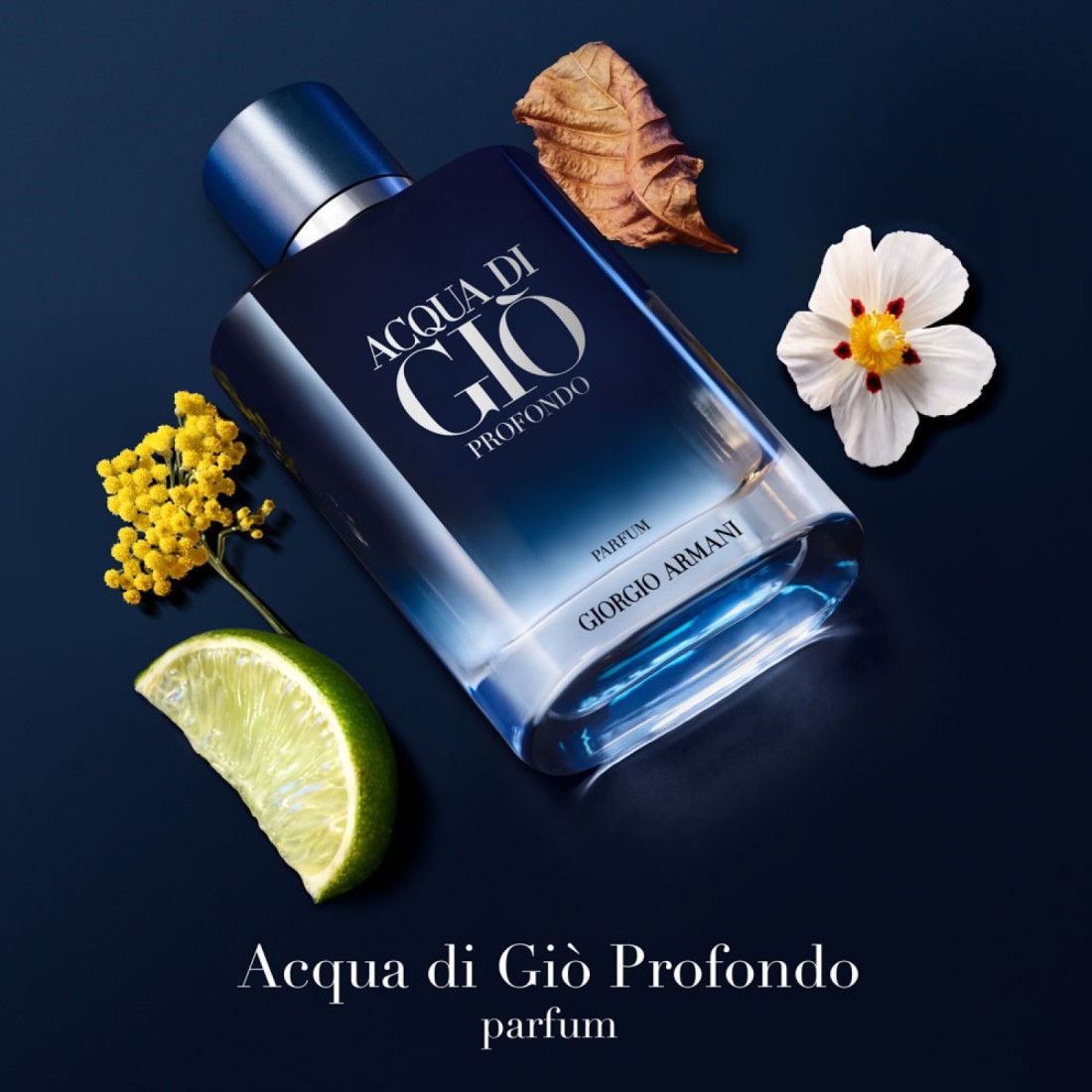 Giorgio Armani Acqua Di Gio Profondo For Men - Parfum