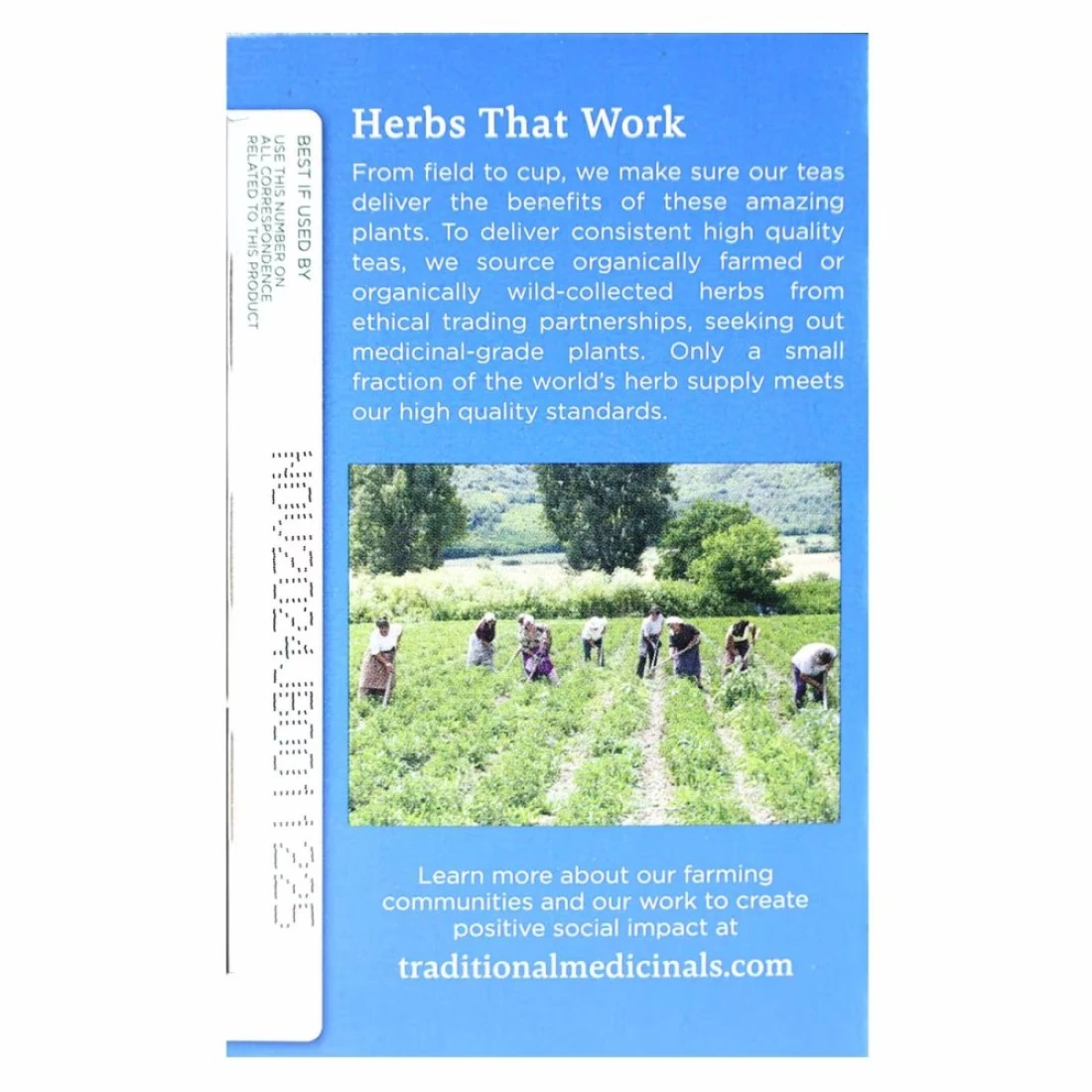 Traditional Medicinals Organic Stress Ease Cinnamon Tea 24g