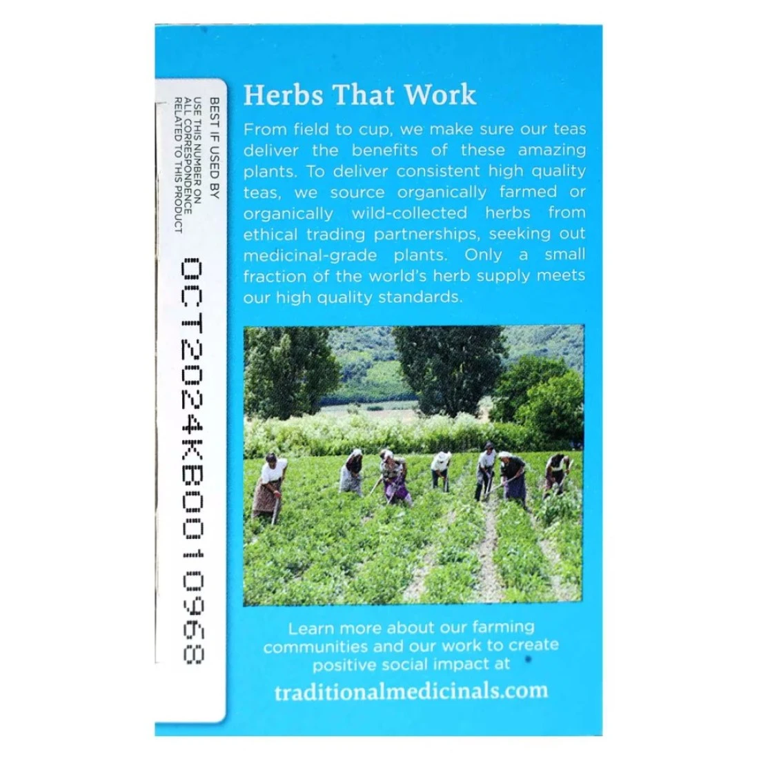 Traditional Medicinals Everyday Detox Herbal Tea 24g