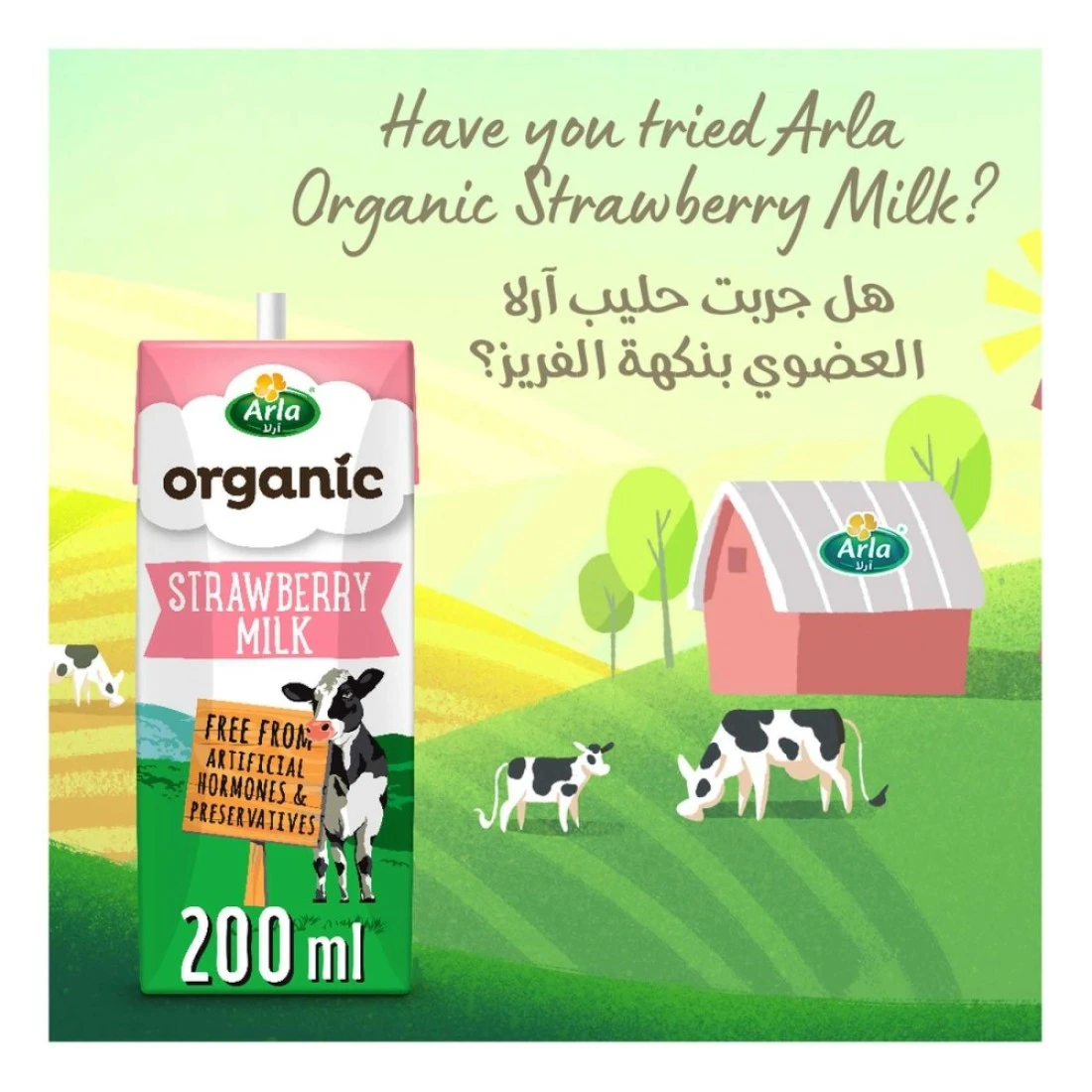 Arla Organic Milk Chocolate Multipack, 200ml Pack of 6