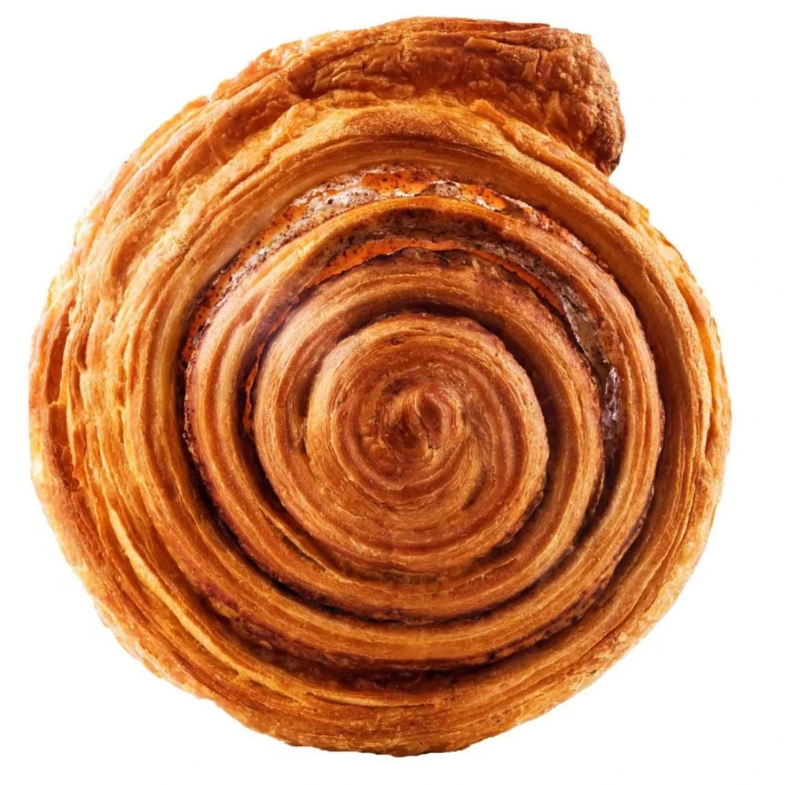 Cinnamon and Walnuts Roll 1 Piece