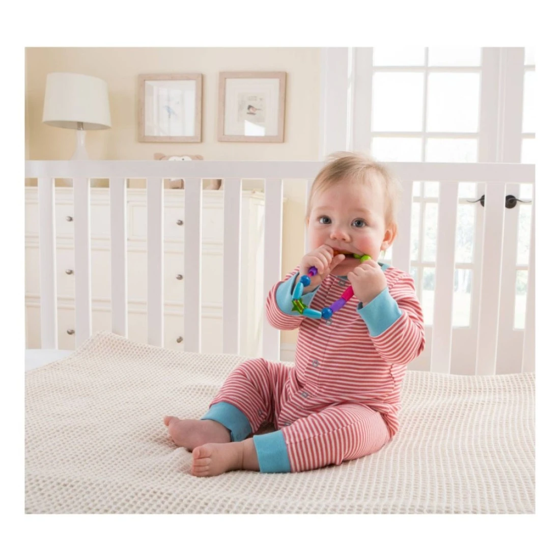 تومي ذا فيرست ييرز برايت بيدز عضاضة Y1475