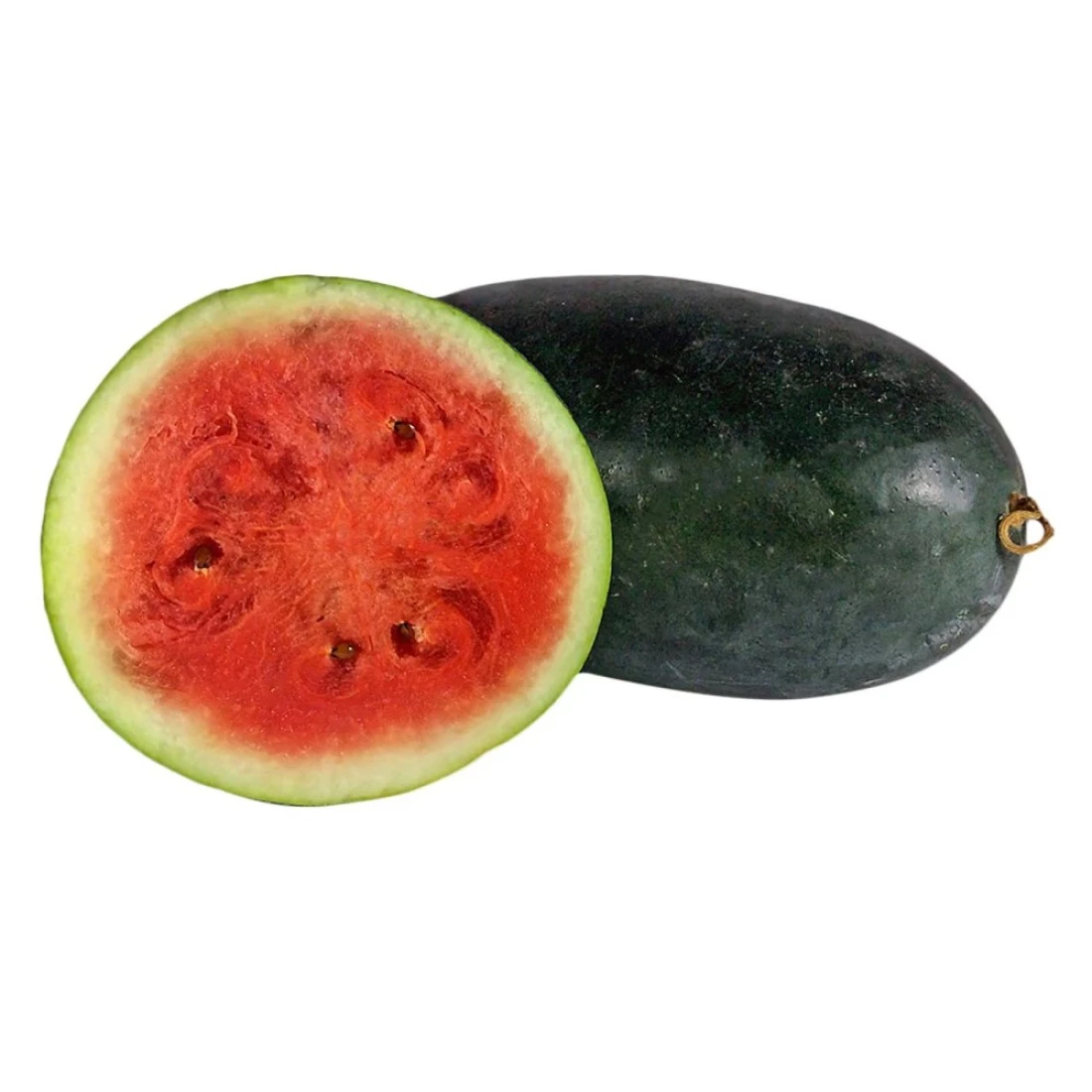 Dark Green Watermelon Long