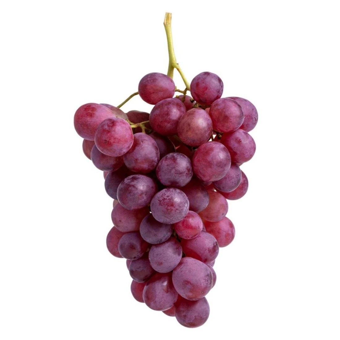 Red Seedless Grapes