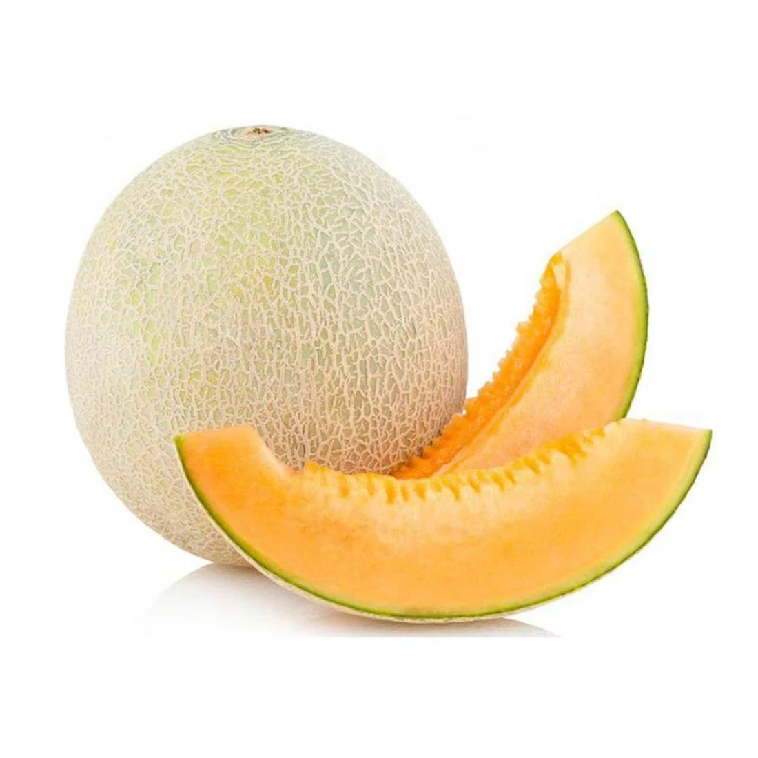 البطيخ الصخري