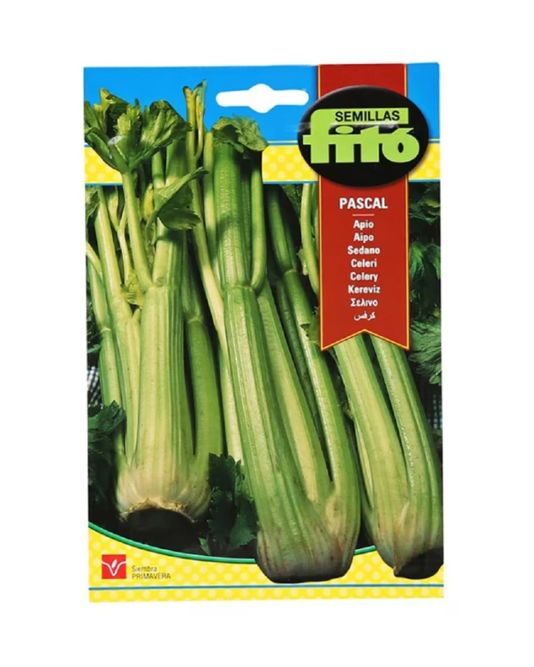 Fito Celery Pascal