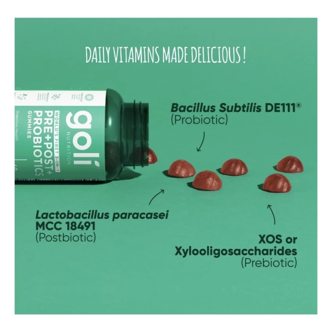 Goli Nutrition Pre Plus Post Plus Prebiotics Dietary Supplement Gummies, 60 Gummies