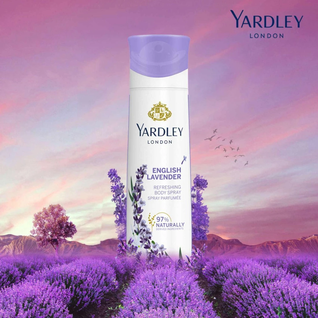Yardley London English Lavender Refreshing Body Spray Clear 150ml