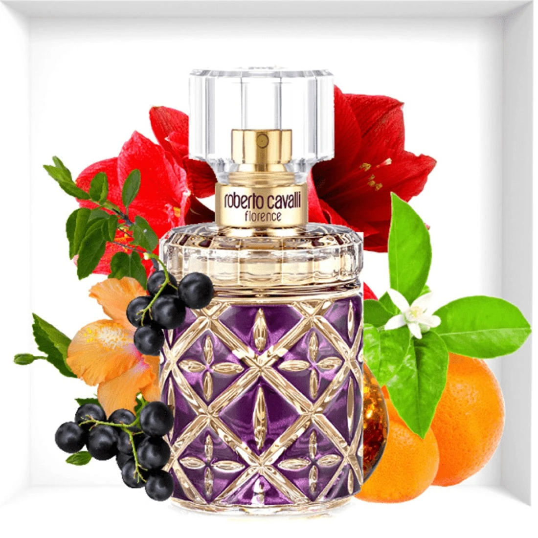 Roberto Cavalli Florence For Women - Eau de Parfum