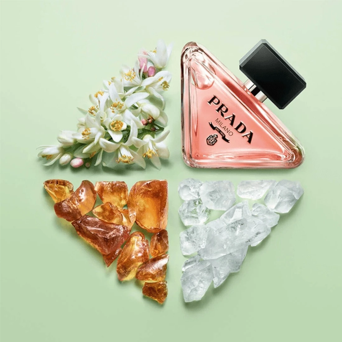 Prada Paradoxe For Women - Eau De Parfum