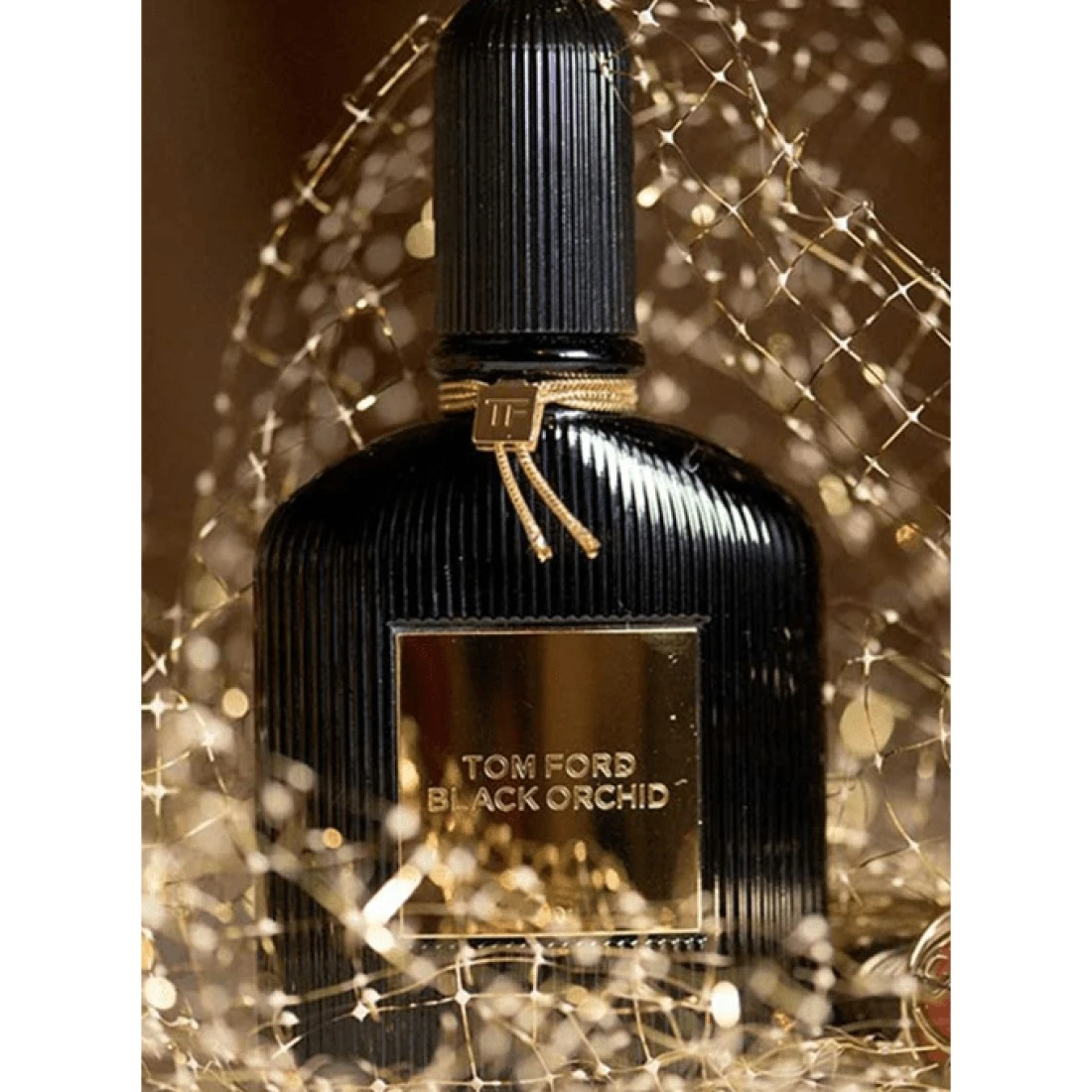 عطر بلاك أوركيد من توم فورد للنساء - او دو برفيوم