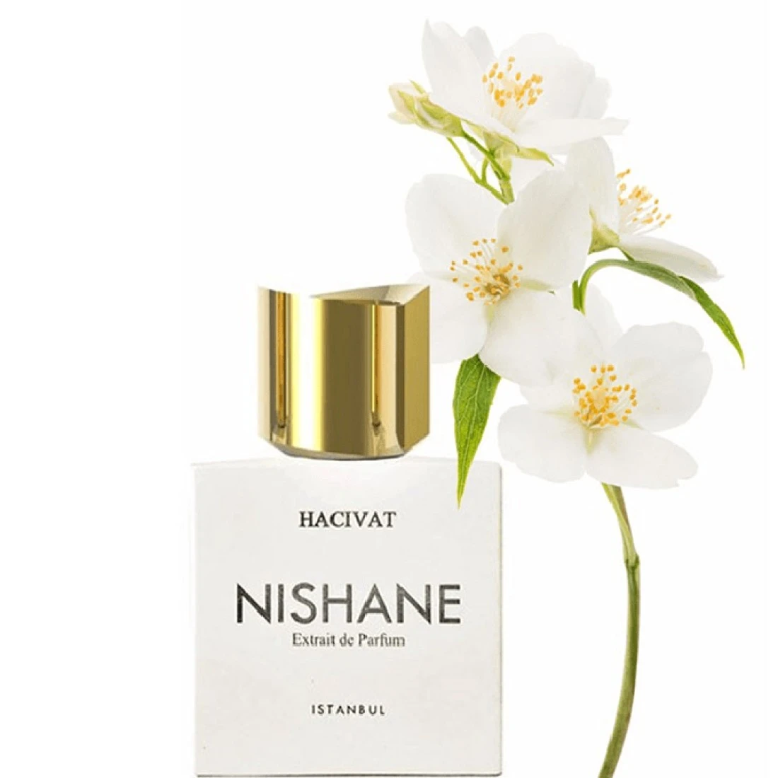 Nishane Hacivat - Extrait De Parfum
