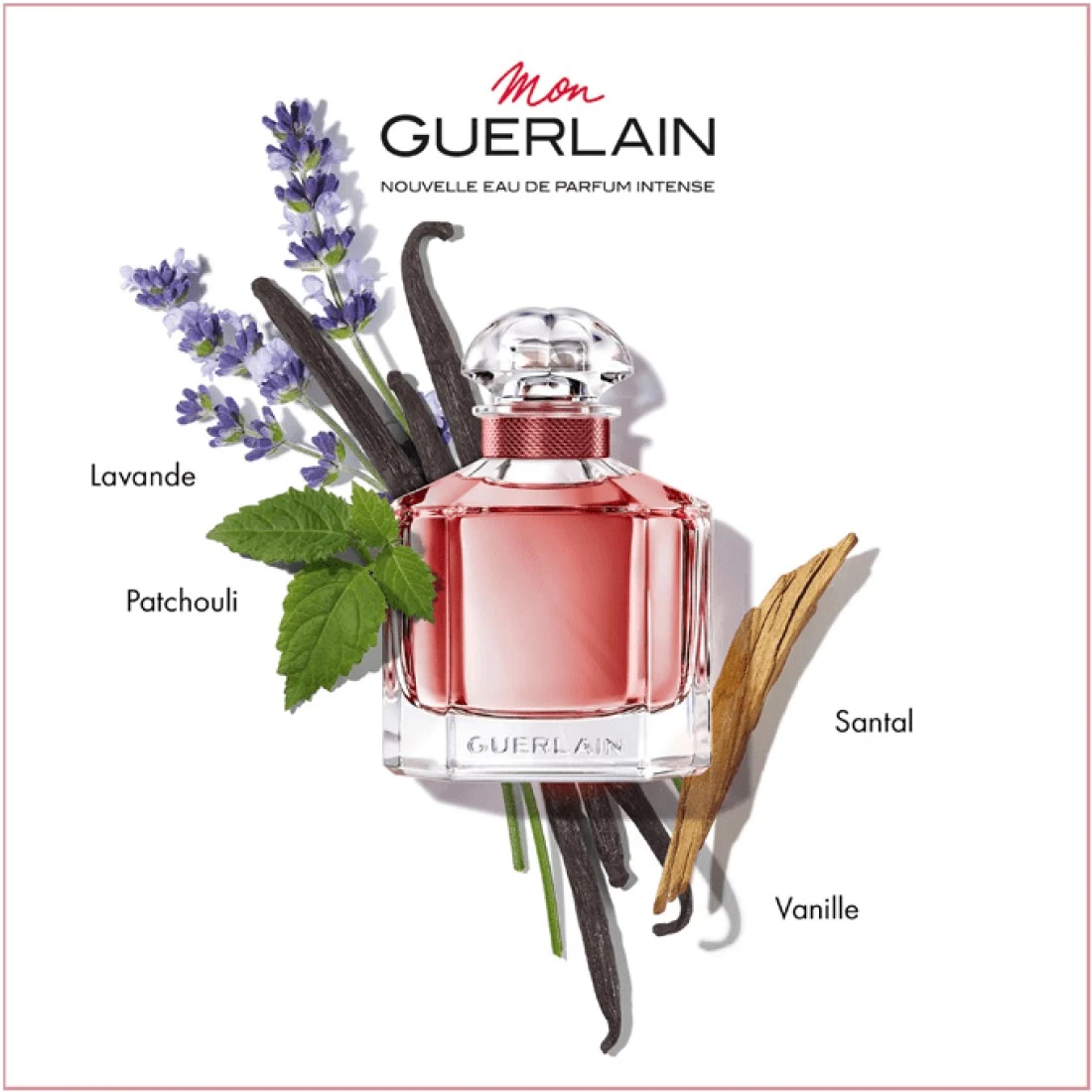 Guerlain Mon Intense For Women - Eau De Parfum