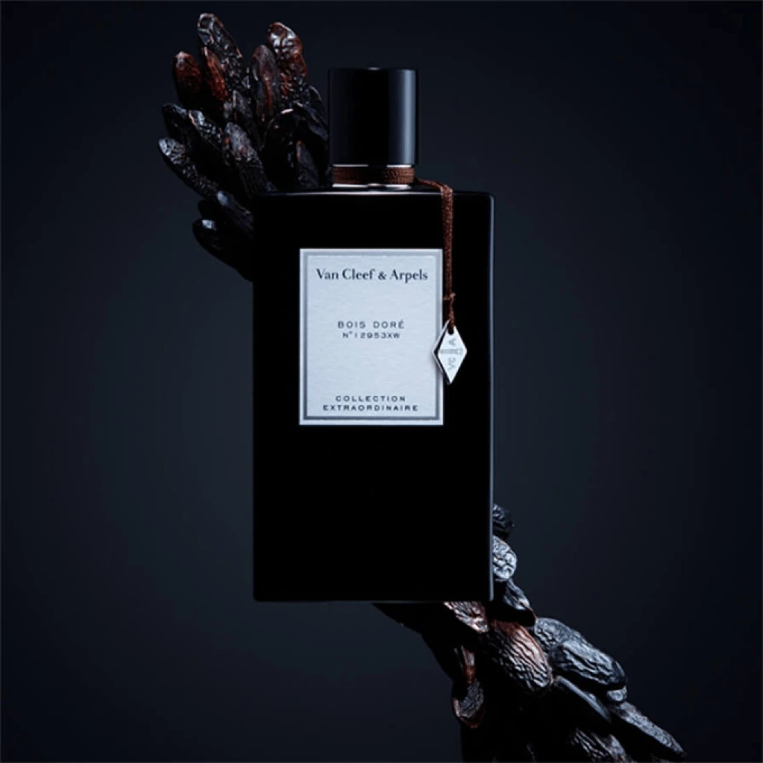 عطر بويس دور من فان كليف اند اربلز - او دي بارفيوم