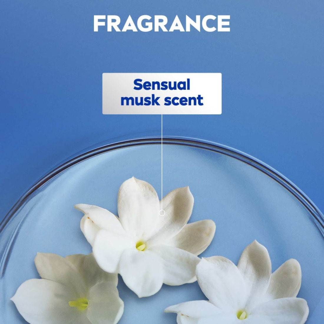 NIVEA Body Lotion, Normal to Dry Skin, Sensual Musk, 400ml