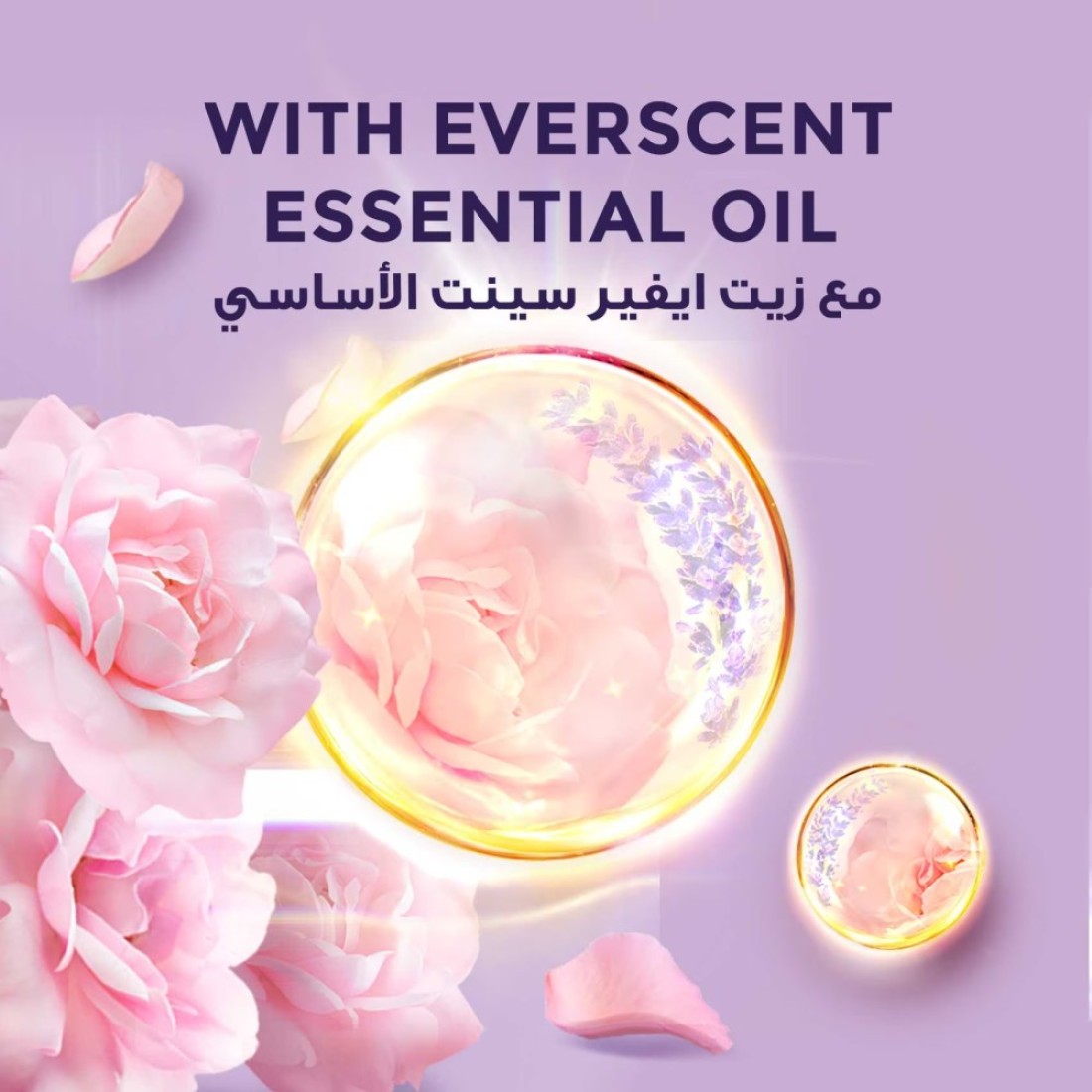 Lux Delicate Fragrance Body Wash Soft Rose 500ml Pack of 2