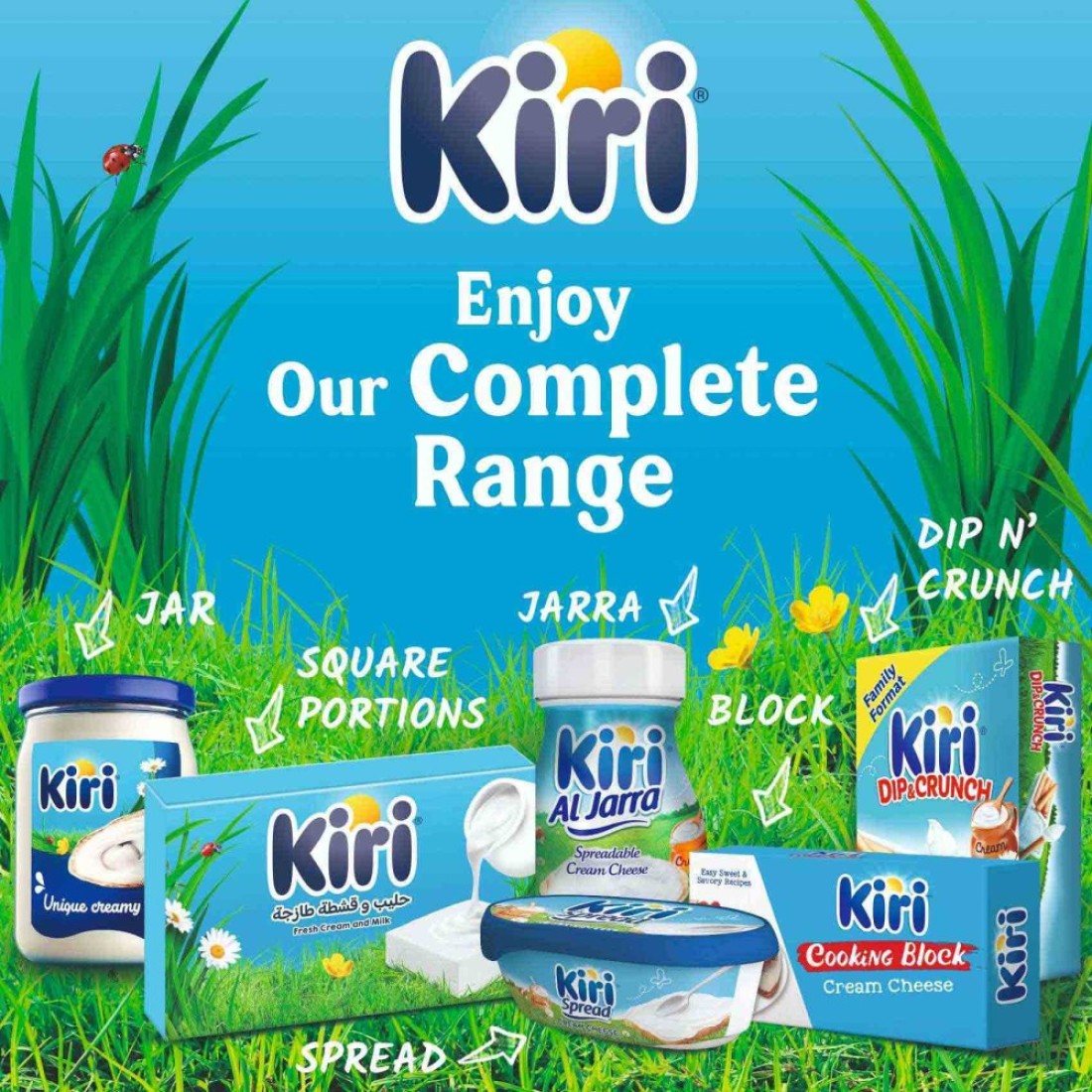 Kiri Cream Cheese Glass Jar 500g Pack of 2