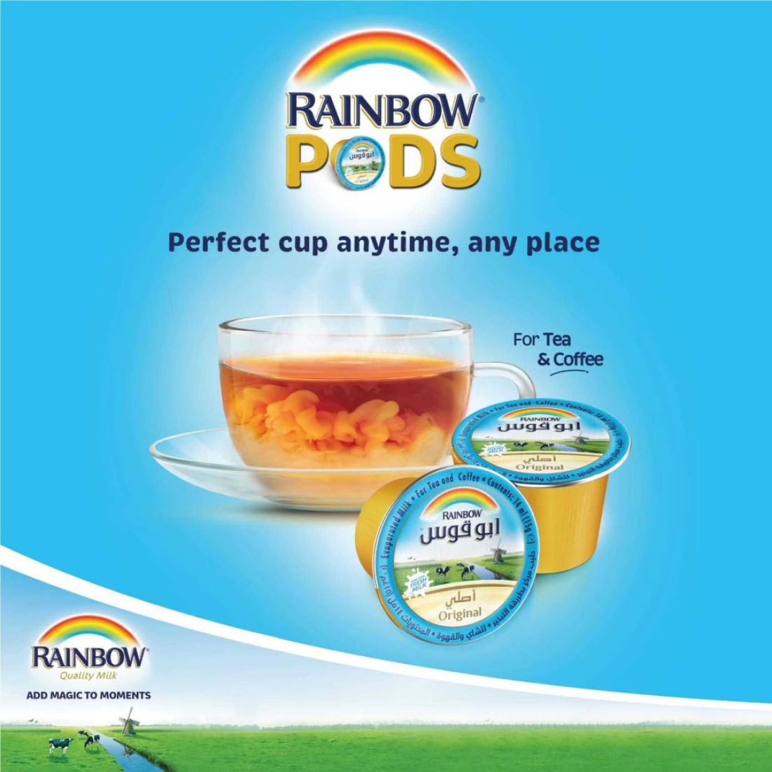 Rainbow Original Evaporated Milk 14ml Pack of 10x50