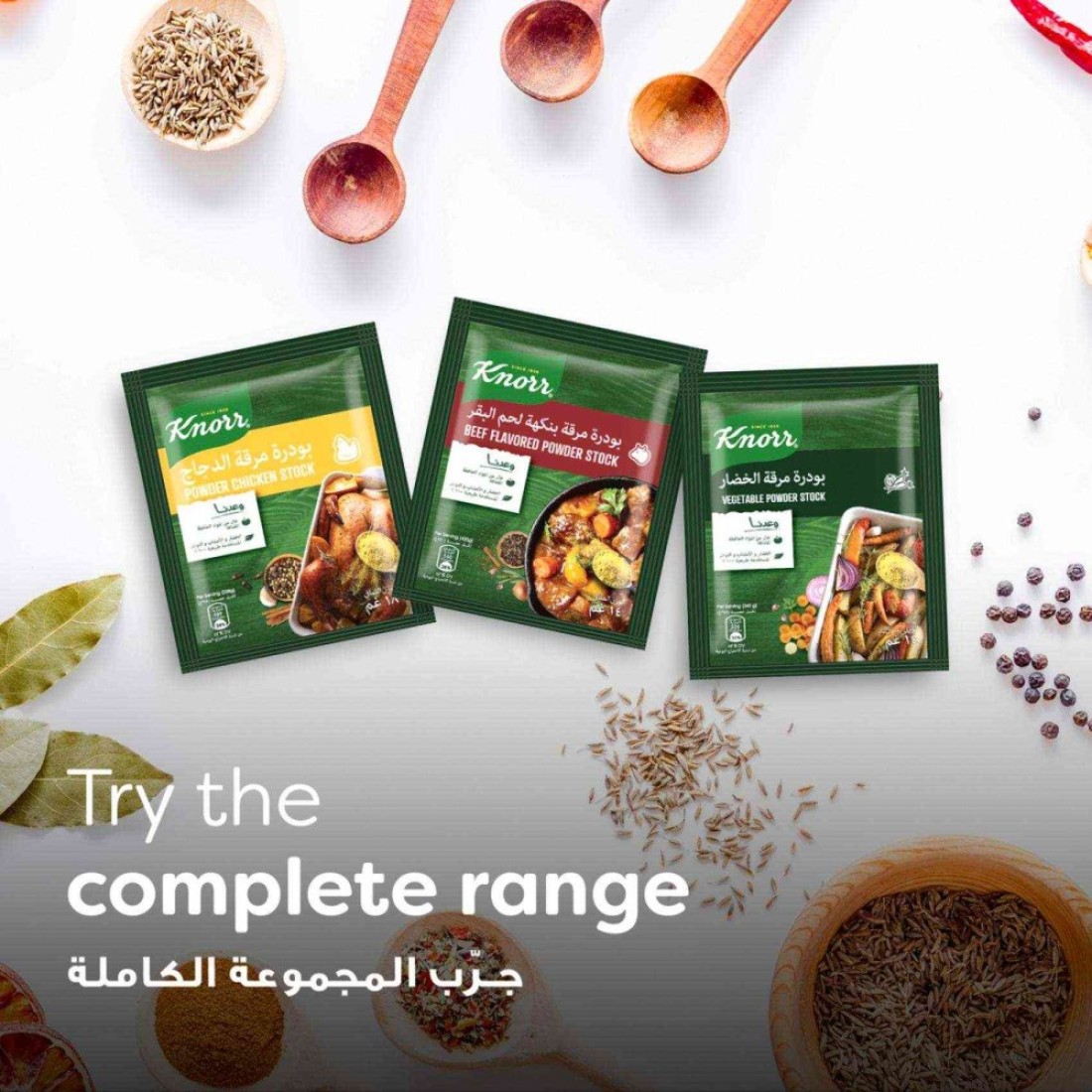 Knorr Powder Bouillon Chicken Stock 18g