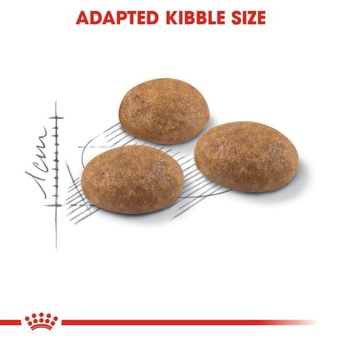 Royal Canin FHN Outdoor 2 kg Feline Breed Nutrition Cat Food
