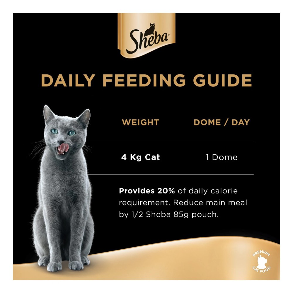 Sheba Filets with Natural Shredded Chicken Flavour in Gravy Wet Food for Cat, 60g