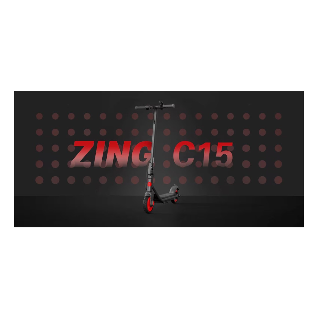 Segway Ninebot Zing E-Kick Scooter C15E Black